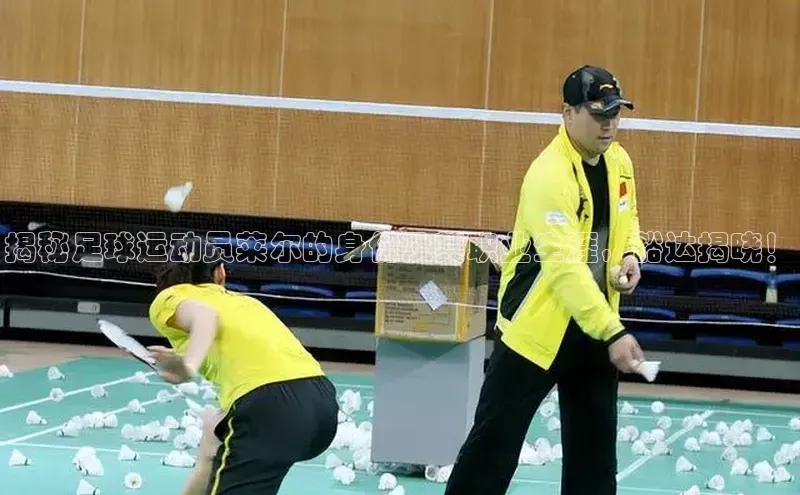 mk·体育官方网站百度取证揭秘足球运动员莱尔的身份及其职业生涯，豁达揭晓！