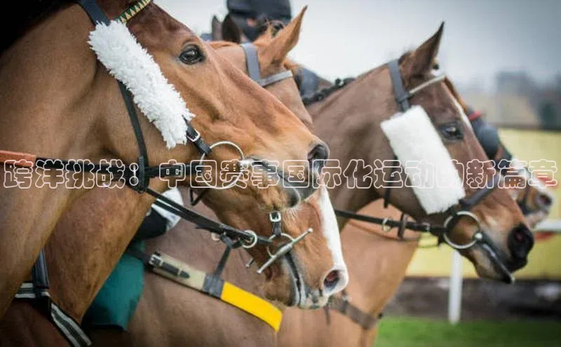 mk官网入口蓝色光标跨洋挑战：中国赛事国际化运动的新篇章
