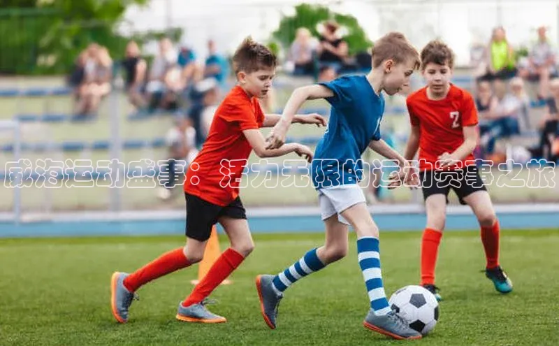 MK体育官方网站入口小度商城威海运动盛事：活力无限的运动赛事之旅