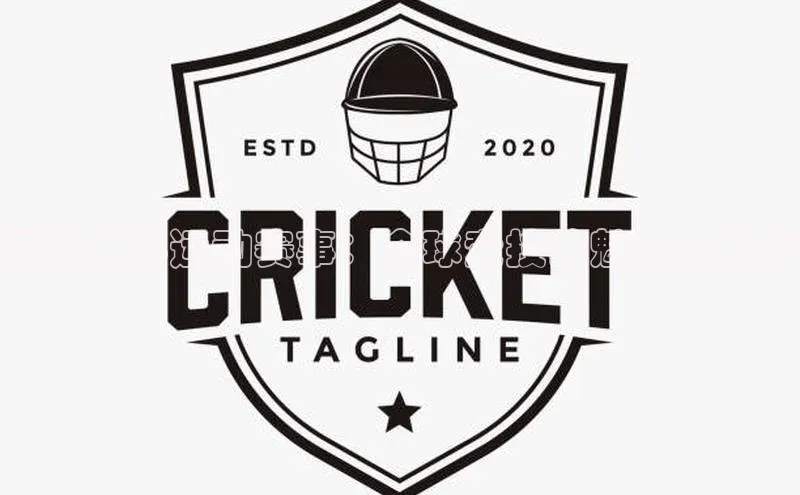 晋江世界运动赛事：全球竞技的魅力与挑战