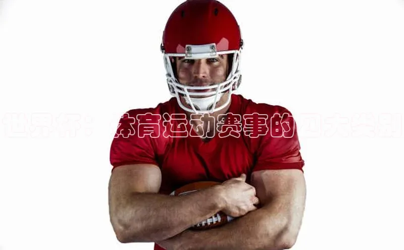 世界杯：体育运动赛事的四大类别