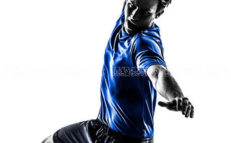 中国犬运动的辉煌历史：顶级赛事的魅力与未来趋势