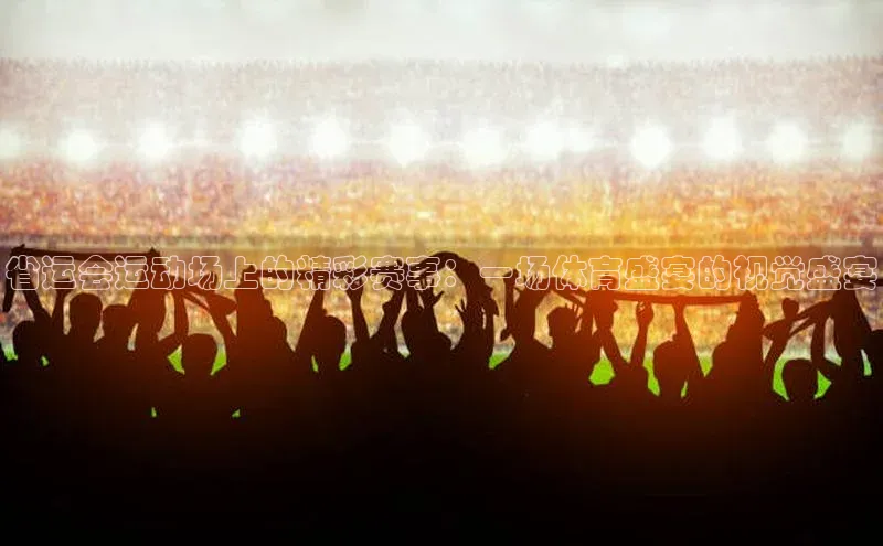 省运会运动场上的精彩赛事：一场体育盛宴的视觉盛宴