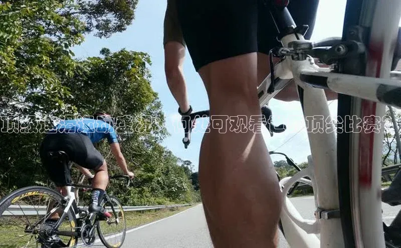 顶级速滑运动盛况：何处可观看世界顶尖比赛？