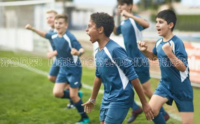 齐鲁风采：山东运动会的赛事多样性与精彩瞬间