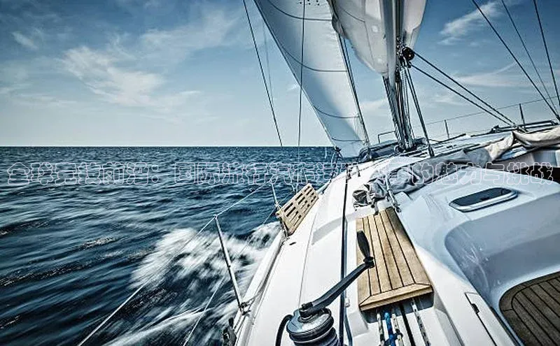 全球竞技前沿：国际流行汽车运动赛事的魅力与挑战