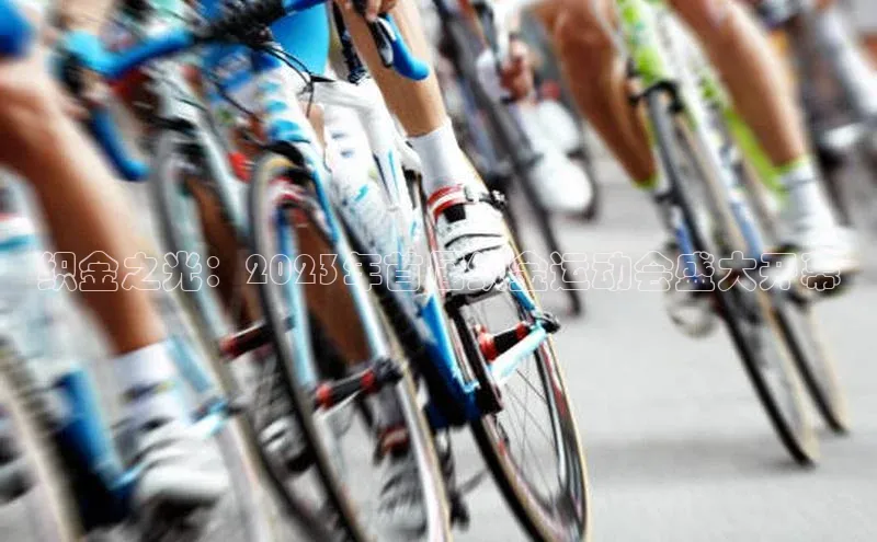 织金之光：2023年首届织金运动会盛大开幕