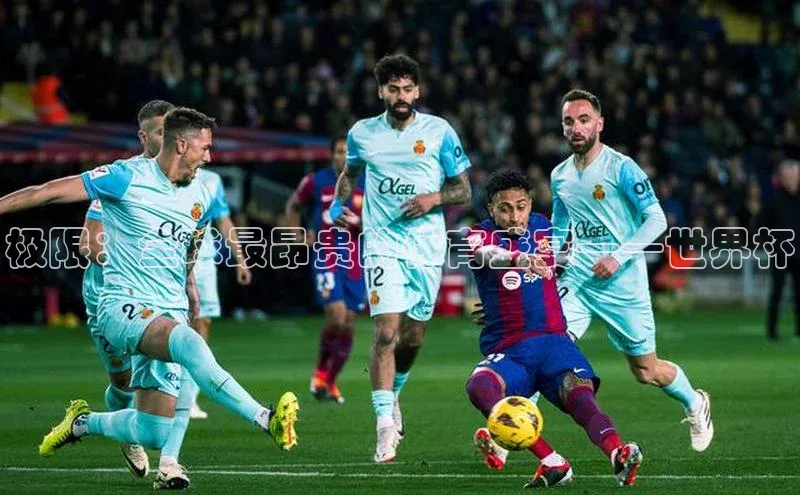 极限：全球最昂贵的体育盛宴——世界杯