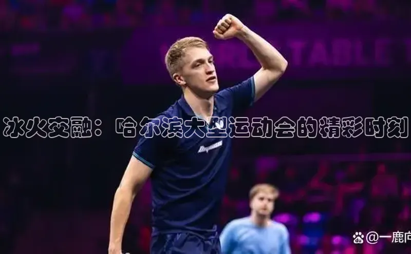 冰火交融：哈尔滨大型运动会的精彩时刻