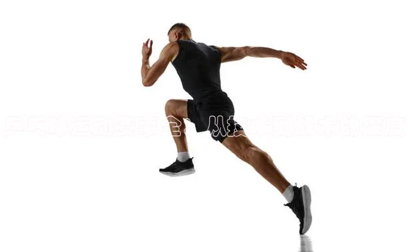 乒乓球运动赛事全：从技术到战术的深度