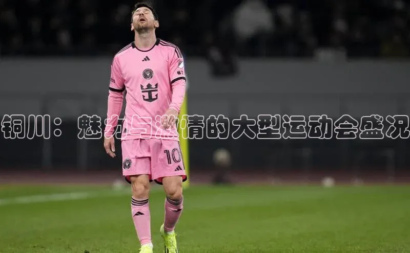 铜川：魅力与激情的大型运动会盛况