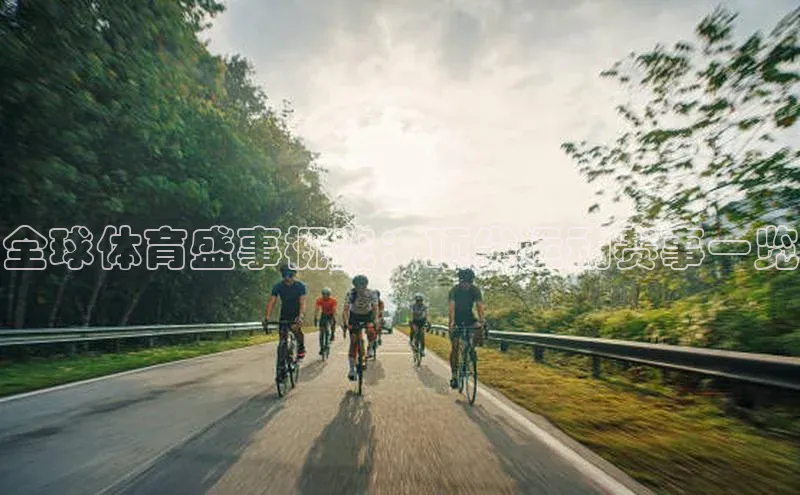 MK体育官方网站入口