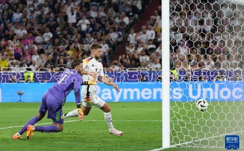 MKsports官方网站