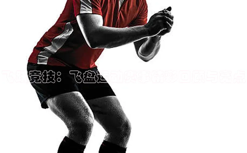 Mksport体育app官网入口