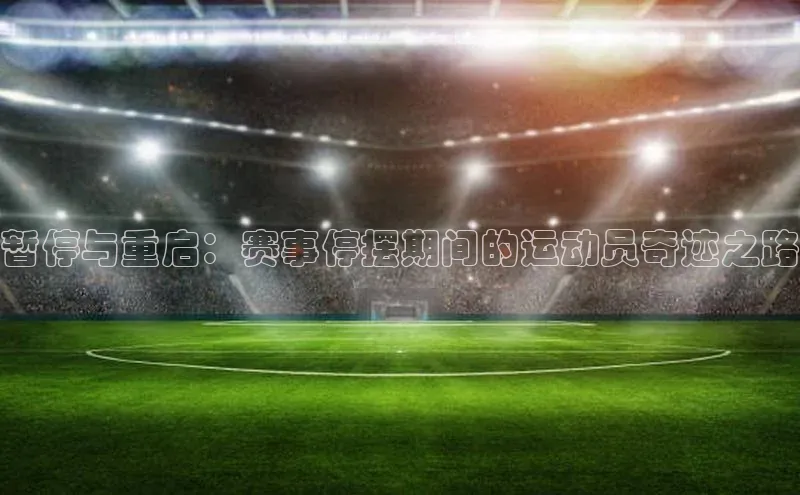 MK体育官方网站入口