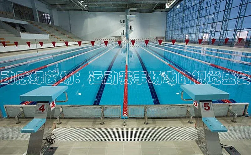 MK体育APP下载地址