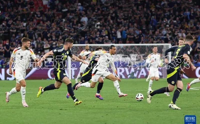 潮流运动：布标设计的未来